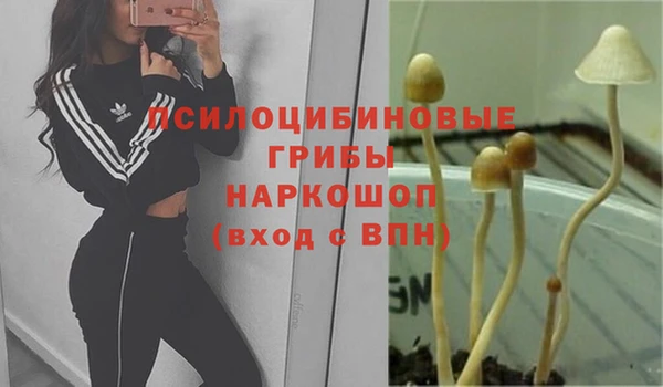 mdpv Бронницы