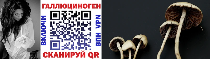 Галлюциногенные грибы прущие грибы Купить закладки Верхний Уфалей